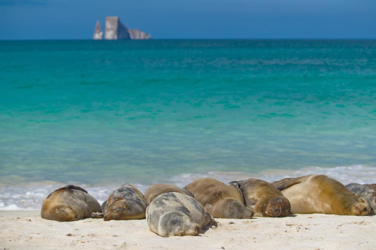Suite Cielo, Discover The Magic Of Galapagos Puerto Baquerizo Moreno Bagian luar foto